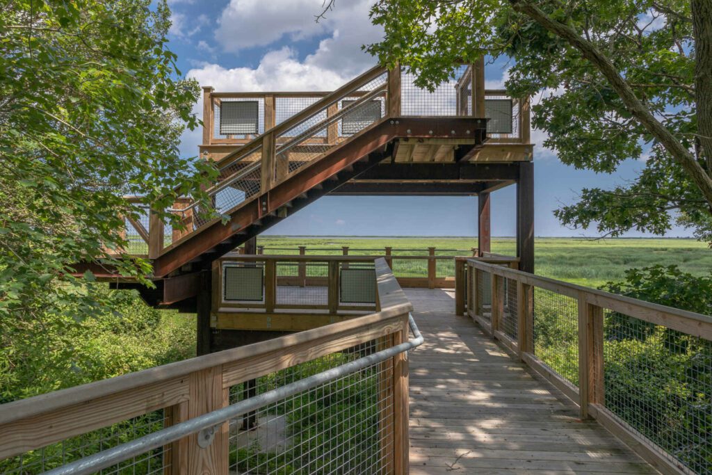 the viewing platform for Little Creek Nature Preserve