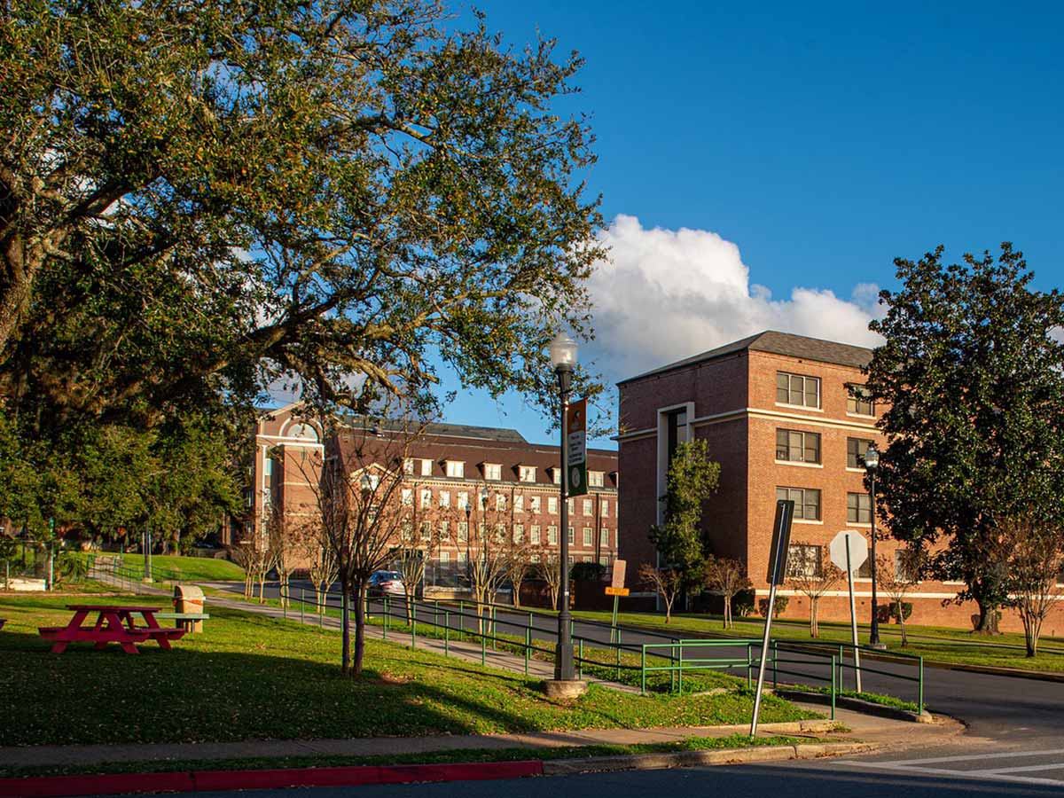 Brick campus‑style buildings along a tree‑lined street with a grassy area, picnic table, and bright blue sky with scattered clouds.