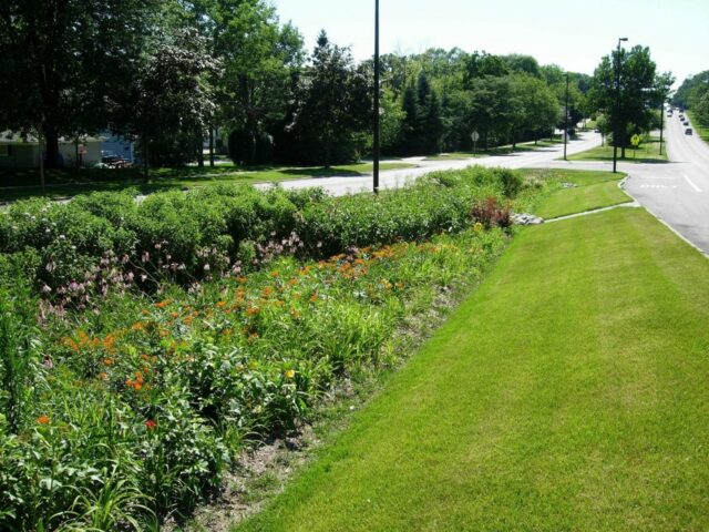 A bioretention area.