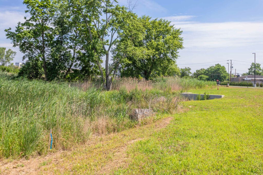 Southbridge Wilmington Wetlands Park