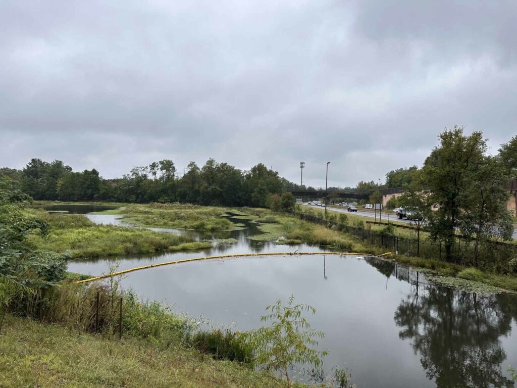 Ballston pond
