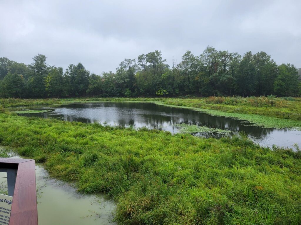 Ballston Pond