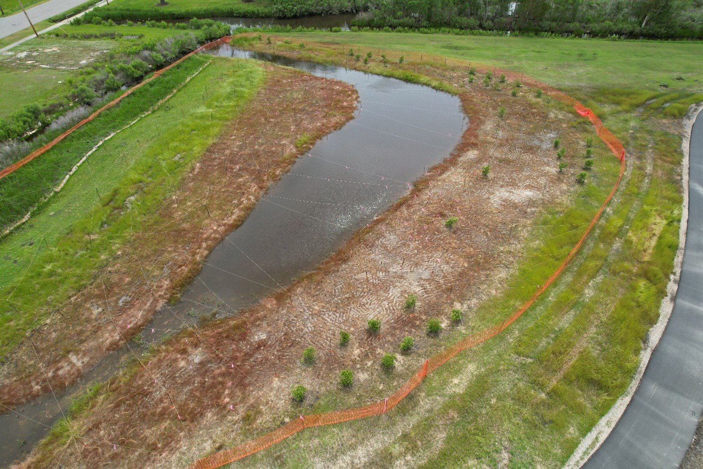 Shaded forested stream with dense greenery and a fallen tree forming a natural bridge over the water.